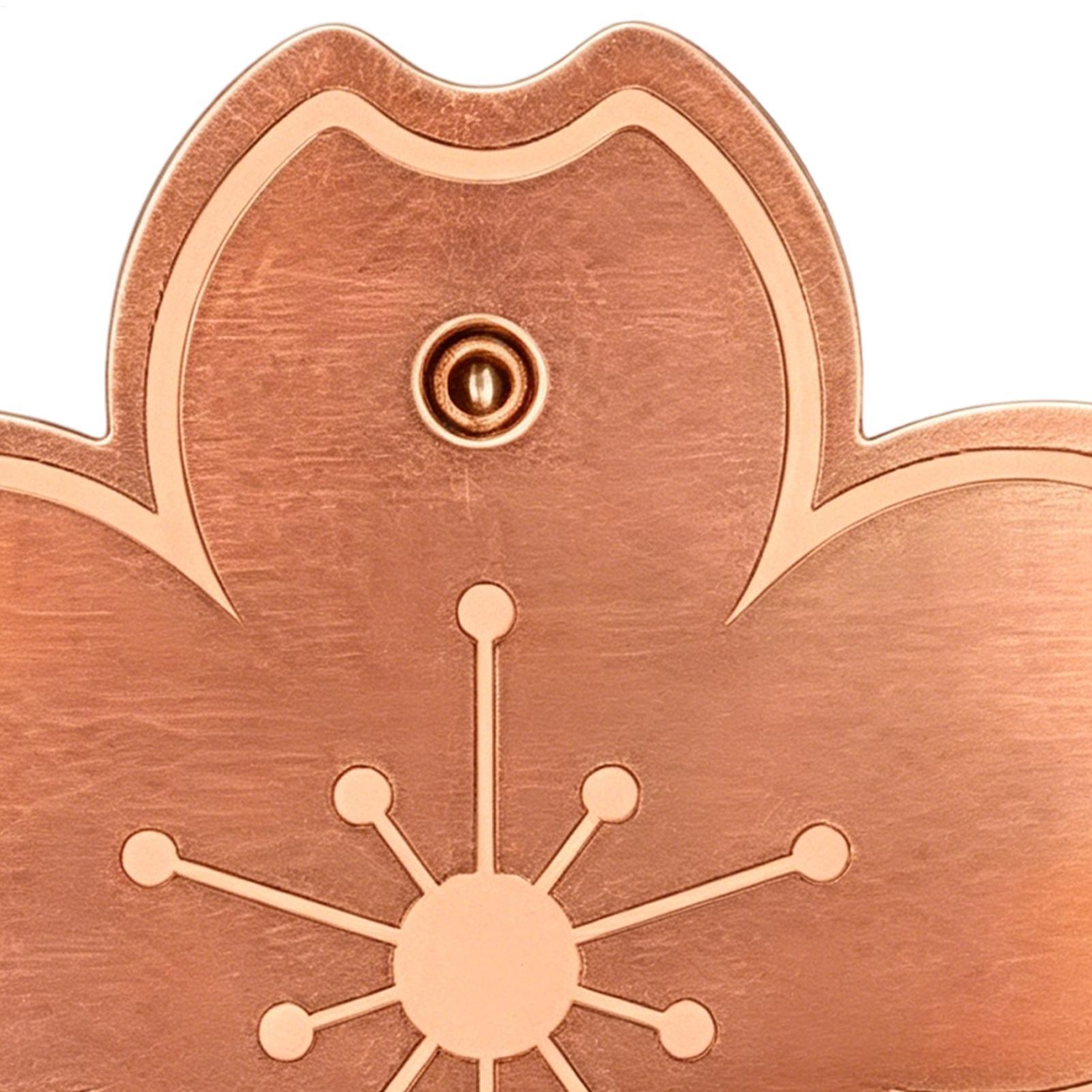 Watches & Jewelry Repair Center - Placa de cobre purificadora segura para